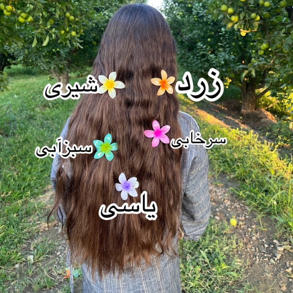 گالری گیسو_گیرهمو